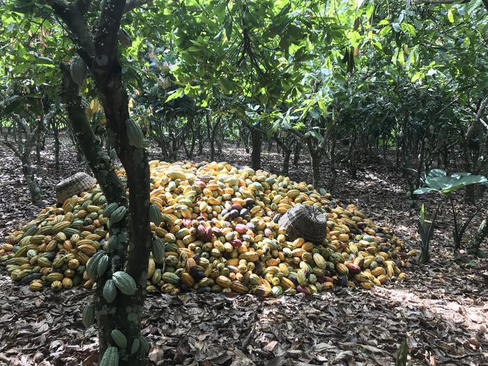 safeguarding-small-scale-producers-and-ecosystems:-a-call-for-sustainable-practices