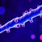 groundbreaking-gene-therapy-receives-funding-for-treatment-of-aggressive-brain-cancer