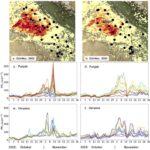 delhi-ncr’s-elevated-pm2.5-levels-not-primarily-linked-to-punjab-haryana-agricultural-fires