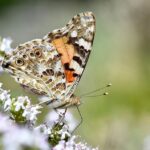 exploring-the-science-behind-our-travel-instincts:-it’s-not-in-our-dna