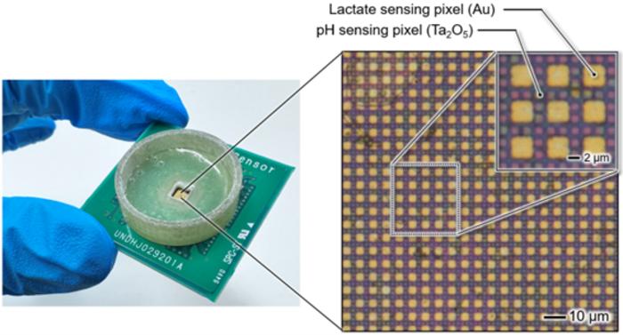 exploring-microscopic-chemical-phenomena-through-semiconductor-imaging-technology