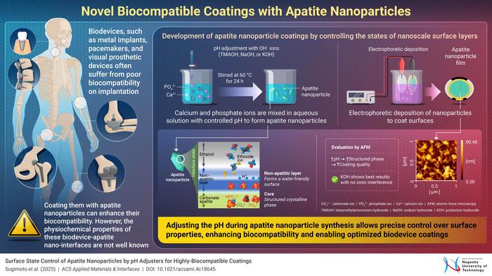 revolutionary-apatite-nanoparticles-enhance-biocompatibility-of-implantable-biodevices