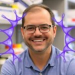 wsu-researcher-unveils-innovative-study-model-unlocking-secrets-to-anti-aging
