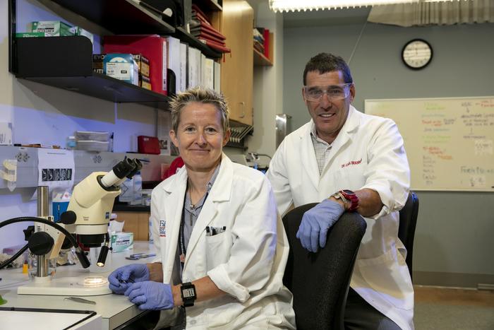 fau-secures-$1.9-million-nih-grant-to-explore-innovative-treatments-for-degenerative-diseases