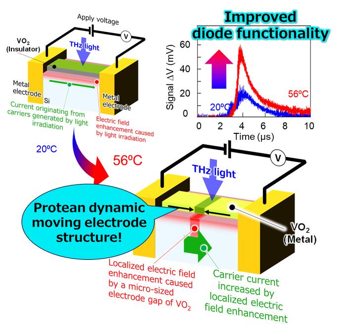 revitalizing-silicon-electronics:-the-emergence-of-‘living’-electrodes