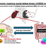 exploring-the-brain-gut-connection:-a-novel-approach-to-ibs-treatment