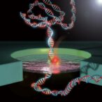 close-the-nano-gate:-harnessing-electrical-control-to-adjust-nanopore-diameter