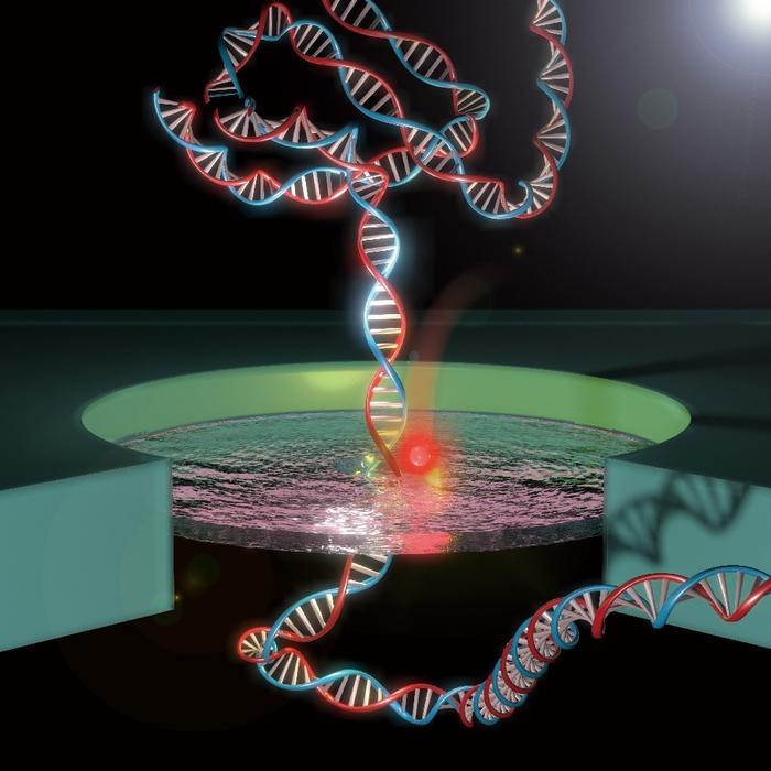 close-the-nano-gate:-harnessing-electrical-control-to-adjust-nanopore-diameter