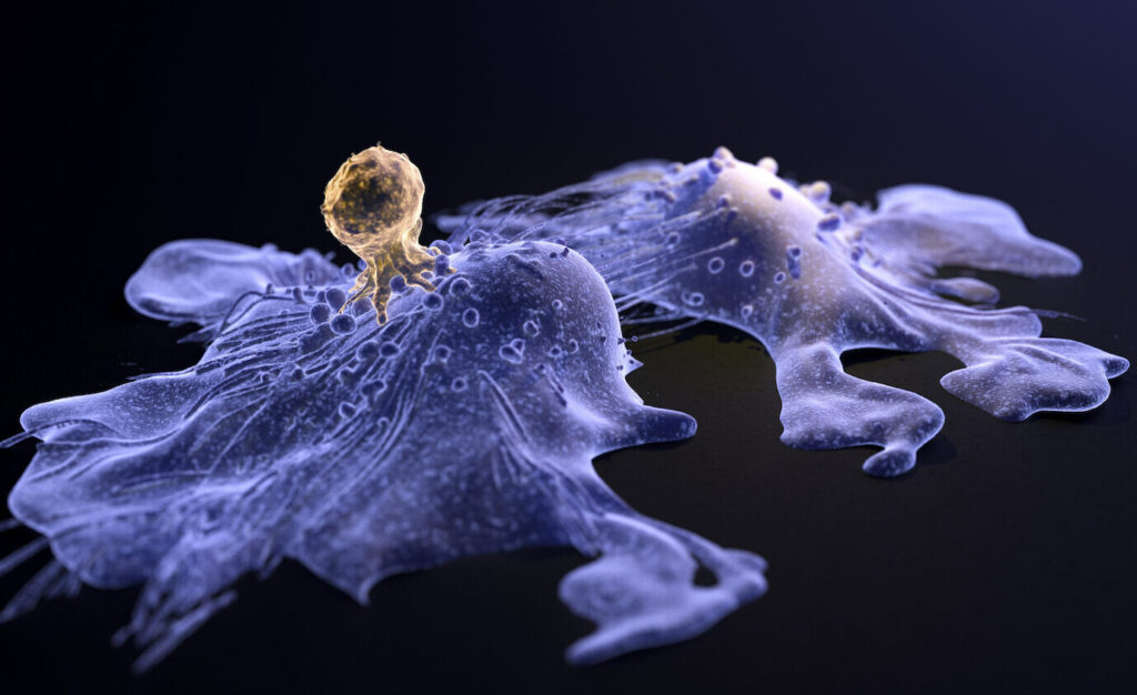 keeping-car-t-cells-fresh