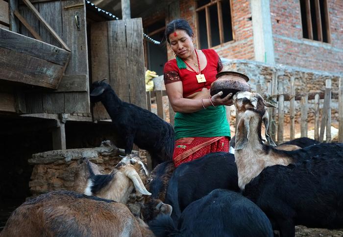 study-reveals-hybrid-job-training-boosts-women’s-participation-in-nepal
