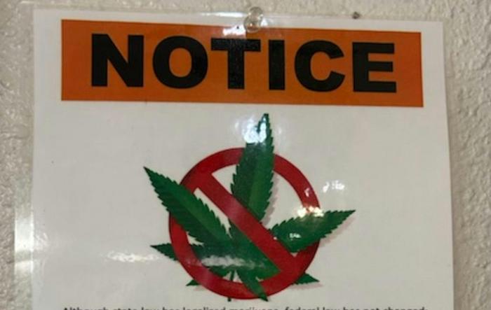 study-finds-warning-signs-may-not-effectively-deter-cannabis-use-during-pregnancy