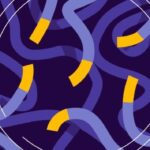 broken-string-biosciences-launches-induce-seq-catalyst-program