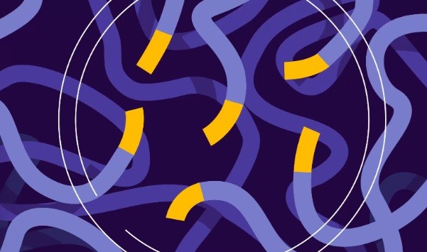 broken-string-biosciences-launches-induce-seq-catalyst-program