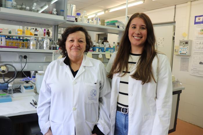 crispr-technology-sheds-light-on-enhancing-nitrogen-fixation-in-bean-genes
