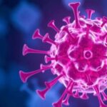 scientists-uncover-immune-modulator’s-promise-in-cancer-treatment