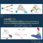 exploring-cell-differentiation-mechanisms-via-single-cell-egot-analysis