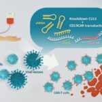 gene-editing-promises-enhanced-success-rates-in-cancer-therapies