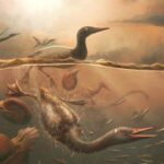 fossilized-bird-skull-from-the-dinosaur-era-sheds-light-on-avian-evolution