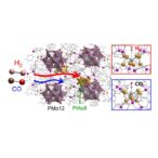 mapping-gas-adsorption-on-platinum-and-gold-‘crown’-structures-linked-by-nanotunnels
