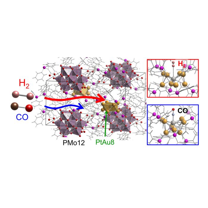 mapping-gas-adsorption-on-platinum-and-gold-‘crown’-structures-linked-by-nanotunnels
