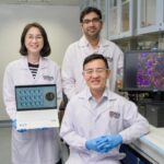 nus-scientists-unveil-innovative-‘micro-gut’-model-to-explore-gut-microbes’-impact-on-human-health