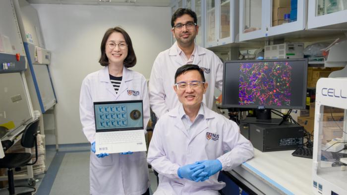 nus-scientists-unveil-innovative-‘micro-gut’-model-to-explore-gut-microbes’-impact-on-human-health