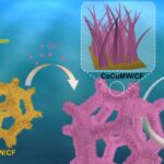 researchers-create-innovative-corrosion-resistant-electrodes-to-enhance-biomass-upgrading
