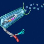 yale-scientists-transform-genome-for-engineered-synthetic-proteins