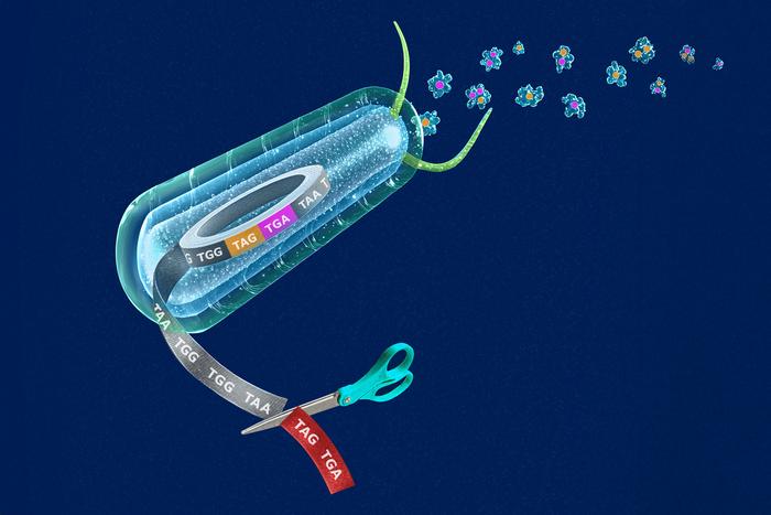 yale-scientists-transform-genome-for-engineered-synthetic-proteins