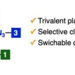revolutionary-click-chemistry-technique-transforms-drug-development-landscape