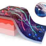 revolutionary-smart-sensor-streamlines-wound-monitoring