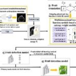 revolutionizing-agriculture:-advanced-ai-techniques-enhance-fruit-labeling-in-smart-orchards