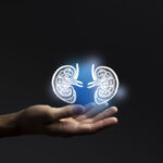 for-second-kidney-xenotransplant-patient-discharged,-immunosuppression-is-key