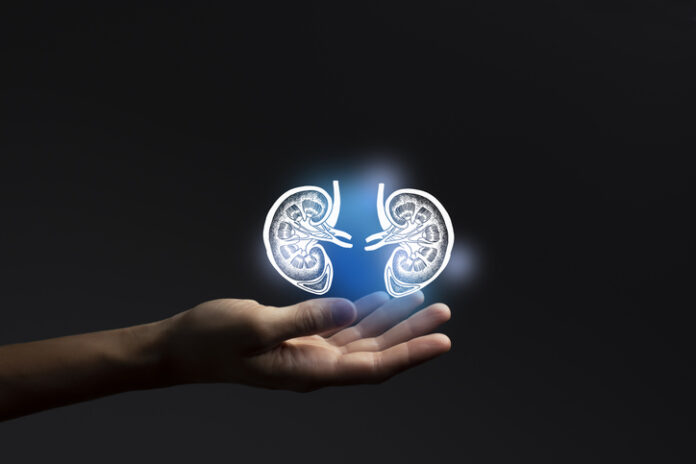 for-second-kidney-xenotransplant-patient-discharged,-immunosuppression-is-key