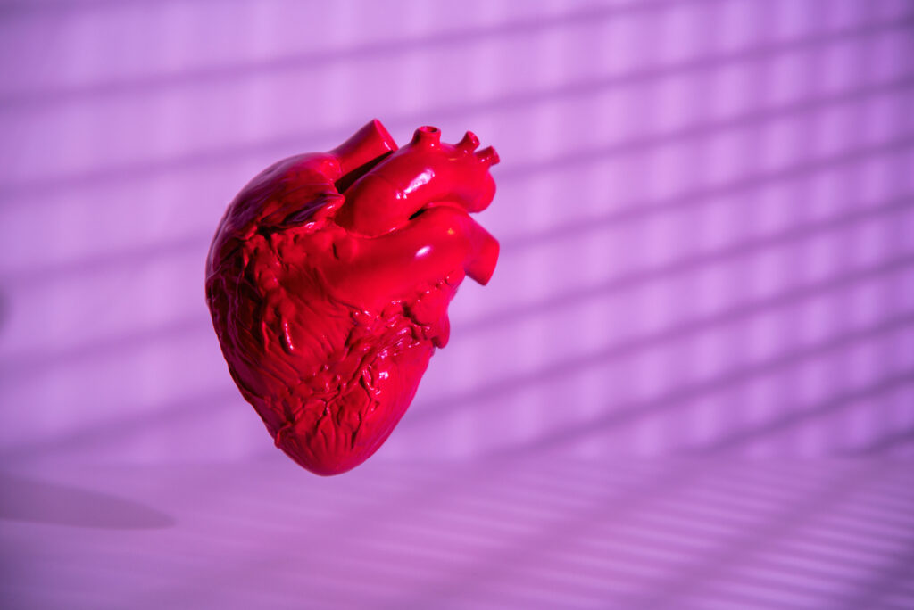 macrophages-in-newborn,-but-not-adult,-mice-help-regenerate-heart-tissue