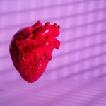 macrophages-in-newborn,-but-not-adult,-mice-help-regenerate-heart-tissue