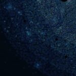 what’s-in-a-name:-out-with-invizyne,-in-with-exozymes