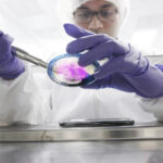 perils-in-protein-production