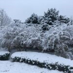 research-reveals-reasons-behind-persistent-record-cold-spells-in-an-era-of-global-warming