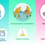 nitech-researchers-uncover-mechanisms-behind-bacterial-flagellar-motors