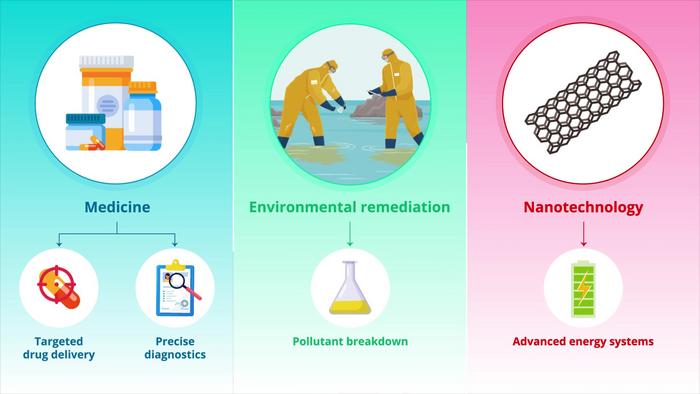 nitech-researchers-uncover-mechanisms-behind-bacterial-flagellar-motors