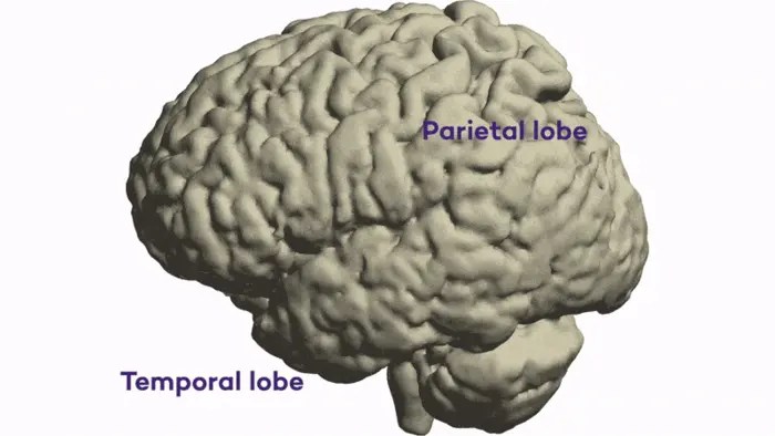 research-unveils-new-brain-regions-involved-in-intended-speech