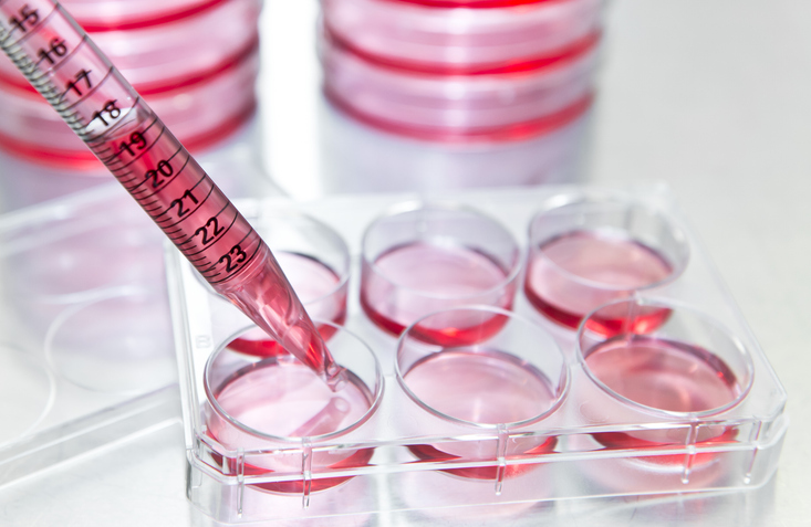 guanylhydrazone-based-small-molecule-discovered-that-mimics-bfgf-for-cell-culture-applications
