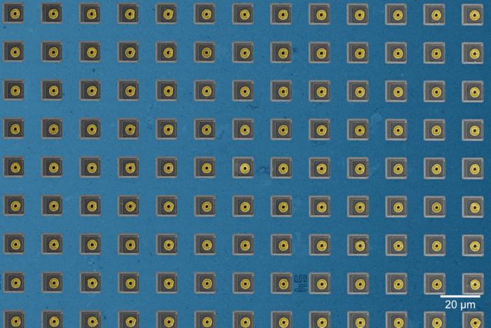 exploring-the-connectivity-of-neuronal-networks