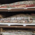 discover-the-unique-‘woody,’-‘spicy,’-and-‘sweet’-aromas-of-ancient-egyptian-mummies