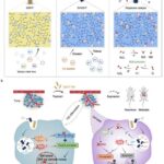 leveraging-nanomedicine-for-enhanced-tumor-catalysis-in-differentiation-therapy