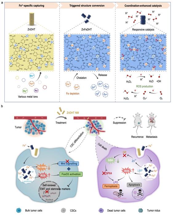 leveraging-nanomedicine-for-enhanced-tumor-catalysis-in-differentiation-therapy