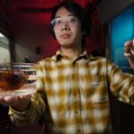 groundbreaking-research-promises-major-advances-in-healthcare