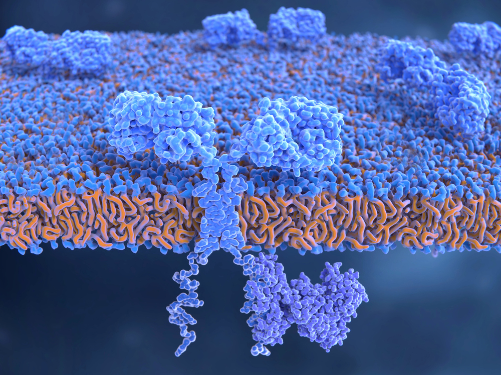 ai-guided-receptor-engineering-to-improve-performance-in-cell-therapies