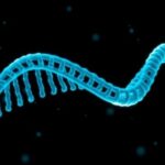 researchers-unravel-dietary-choices-through-stool-dna-analysis:-no-questions-required